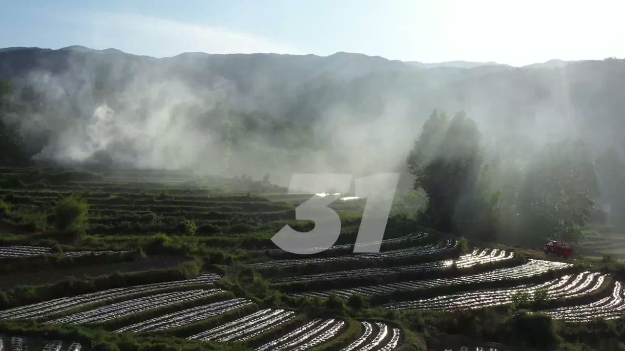 DJI Mini 2 quadcopter